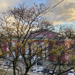 Фото Апартаменты Grape Room Apartment (Грейп Рум Апартмент) на проспекте Мира 122