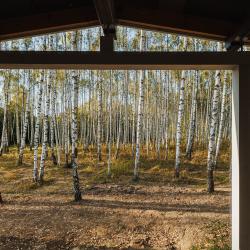 Фото Отель Norke Есенинская Русь