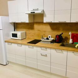 1-комнатные апартаменты стандарт Академика Павлова 43