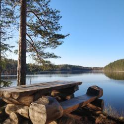 Фото Отель Берлога