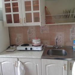 Фото Апартаменты на проспекте Мира 22