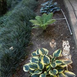 Фото Отель Гостевой Дом Нэста