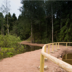 Фото Отель Домики Сканди