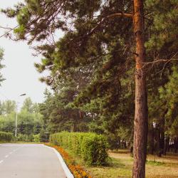 Фото Отель Иртыш