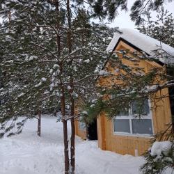 Фото Отель ЕлиСосны