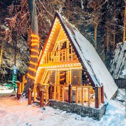 Коттедж премиум