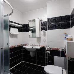 Номер стандарт с 1 односпальной кроватью (с завтраком)