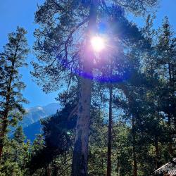 Фото Апарт-отель Les (Лес)