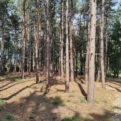 Фото МИРРОС Montis MediSpa Отель Пятигорск 5* (Монтис МедиСпа)