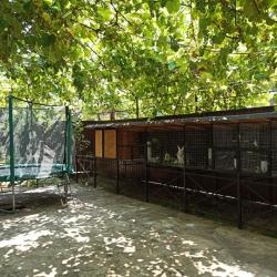 Фото Отель Валентина