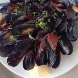 Фото Отель Ситерра