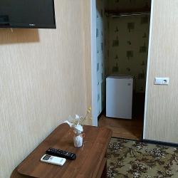 2-местная комната стандарт с 1 двуспальной кроватью