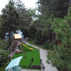 Фото Отель Лодж Алтай