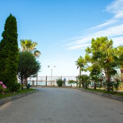 Фото Отель Санаторно-курортный комплекс Alex Resort & Spa Hotel (Алекс Резорт и Спа)