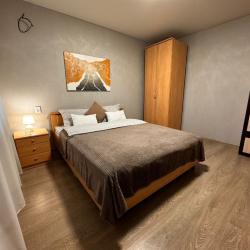 Фото Апартаменты на улице Владимирская 37