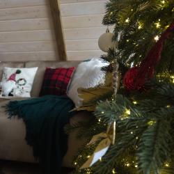 Коттедж премиум