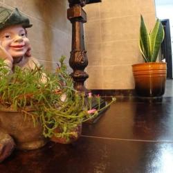 Фото Отель Bon Voyage (Бон Вояж)