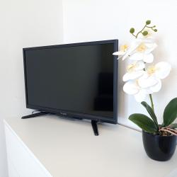 1-комнатные апартаменты стандарт №4