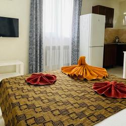 Комната стандарт с 1 двуспальной кроватью