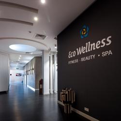 Фото Отель Wellness Hotel and Spa (Велнесс)