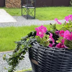 Фото Отель DREAM HAUS (Дрим Хаус)