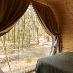 Forest Lodge