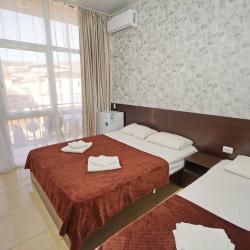 Фото Отель Grad (Град)