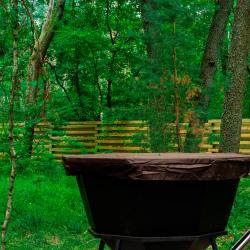 Фото Отель Лесная база «Папоротник»