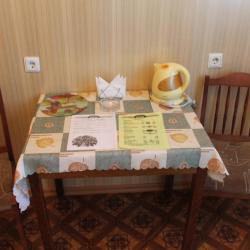 Фото Отель Арктик-Сервис