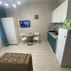 1-комнатные апартаменты студия Приморский край, Владивосток, улица Партизанский проспект