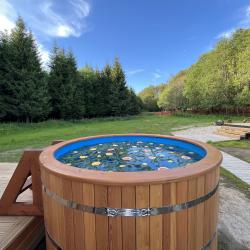 Фото Отель ЁЛКИНО.life (лайф)