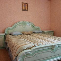 Фото Отель Нива
