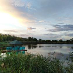 Фото Отель Лесная нимфа