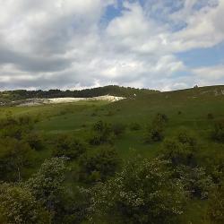 Фото Отель Гостевой дом Дизайнера