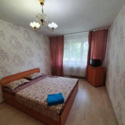 Фото Апартаменты на улице Мира 54