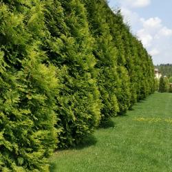 Фото Отель Покровское-Дивное