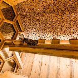 Фото Отель HoneyDay (ХаниДэй)