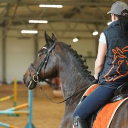 Фото Парк-Отель Басовское