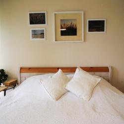 Фото Отель Золотой Гусь