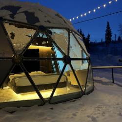 Купольный дом WOOD