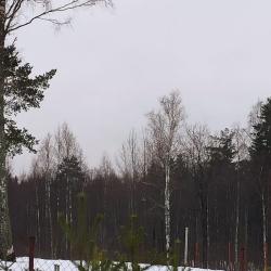 Фото Отель Коттедж рядом с Белоостровом