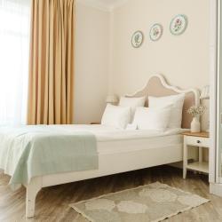 Provence стандарт №10