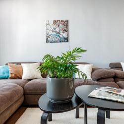 Фото Отель ДоМино на улице Красная