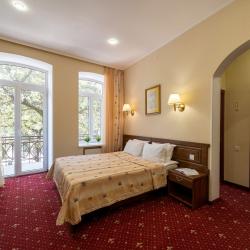 Номер полулюкс с 1 двуспальной кроватью