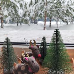 Фото Отель Кусочек рая в соснах