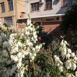 Фото Отель Каталония