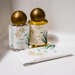 Комната стандарт семейный