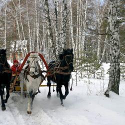 Фото Отель Русский Дом