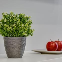 Апартаменты студия