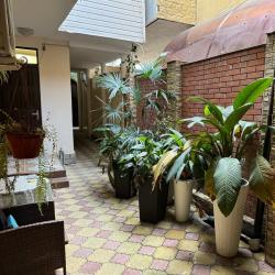 Фото Отель Гостевой дом Кармен